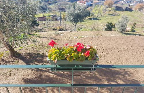 Casa de Campo - Cinfães do Douro - Photo 16