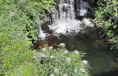 Casa Penafalcão - Foto 15