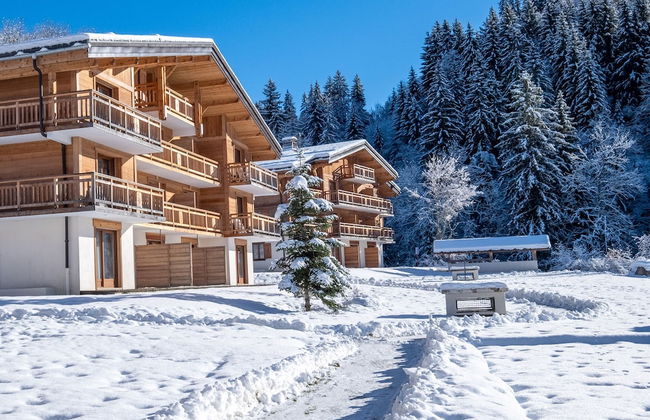 VVF Résidence Megève Mont-Blanc - Foto 71