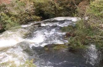 Garn Lodge - Foto 29