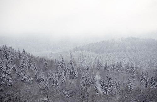 Za Oknem Wierchowa - Foto 32