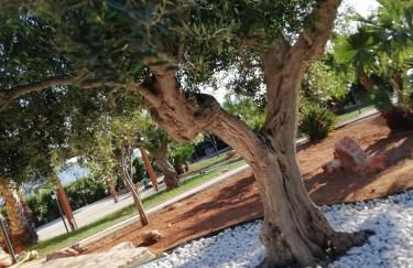 Il Corallo - Foto 38