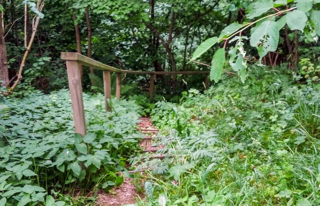 5 Person Holiday Home in Raa/helsingborg-by Traum - Photo 22