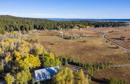 Moose Drool - Foto 39