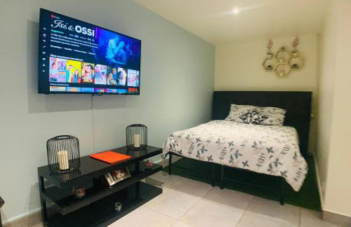 Appartement cosy proche Roissy CDG Astérix DisneyLand Paris - Foto 25