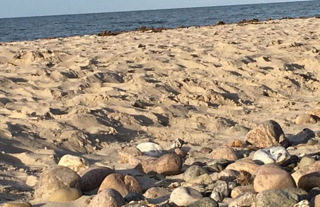 WE Evening sun in the sun House - Foto 23