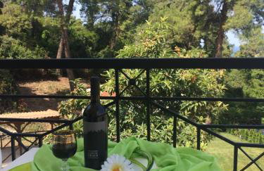 Villa Elani - Foto 1