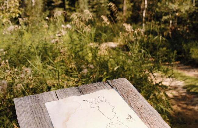 North Forty Resort - Foto 48