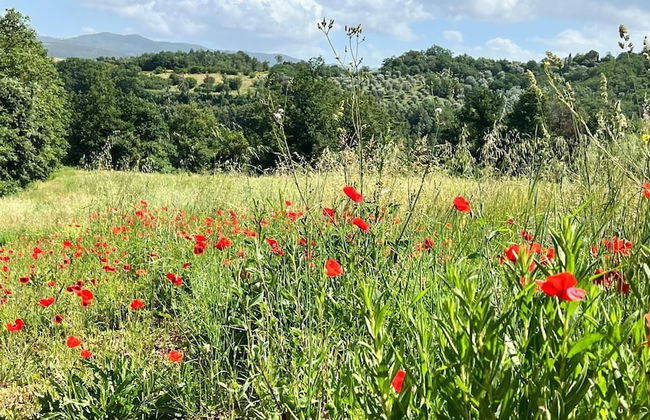 Agriturismo Podere Cortilla - Foto 66