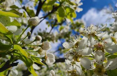 Happy Sparrow - Foto 20