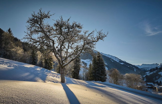 NANI – Mountain Chalet - Photo 68