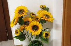 Grazioso Appartamento, Aria Condizionata "ALLE MURA DEL CASTELLO 1 Stefano e Paola Marchesini" - Foto 44