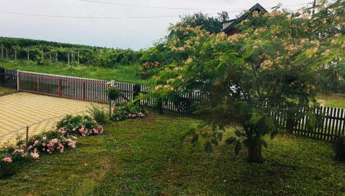 Kuća za odmor Mirna - Foto 5