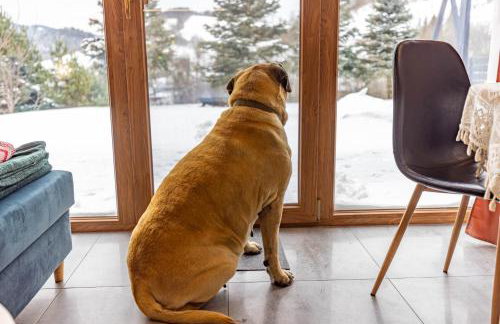 Mały Tiny Domek w górach z kominkiem , Piwniczna-Zdrój - Foto 77