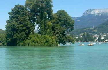 La maison du bonheur à Talloires - Photo 16