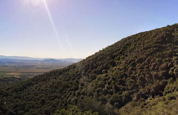 Locanda Mossa Dei Barbari - Foto 48