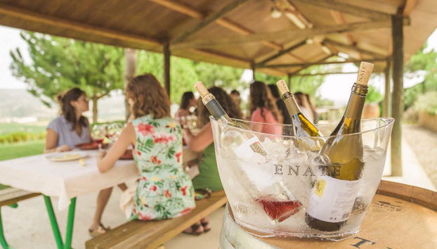 Besuch im Weingut ENATE - Foto 3