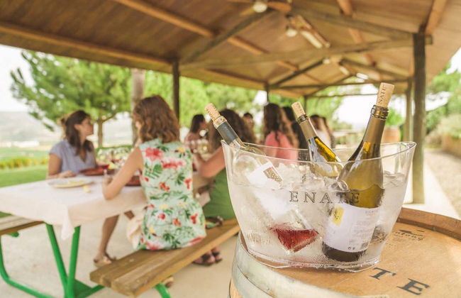 Visit to the ENATE winery - Photo 3