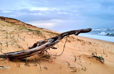 Les Bord'Océanes Sauna & Spa Villa Marensine et Villa Oyat - Foto 78