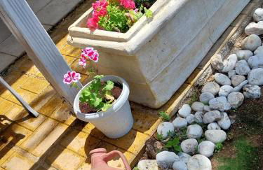 Menƴ's Azure Escape - Foto 36