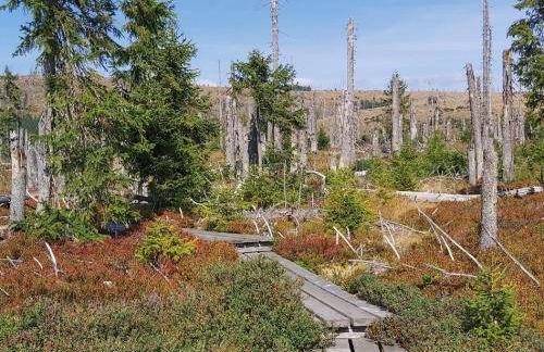 Haus "Panorama" - Foto 25