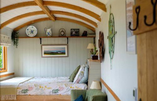 The Acorn - Luxury Shepherds Hut hot tub panoramic views - Foto 29