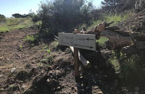 Cottonwood Creek Cabins - Alpine, TX - Foto 19