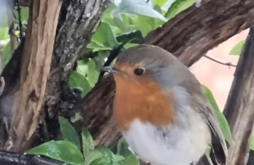 Sunrise Cottage central heated Southview Parkdean SKEGNESS Lincolnshire - Foto 6