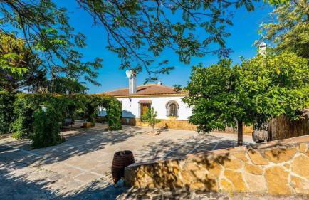 Spacious villa with private pool in Villamartin - Foto 21