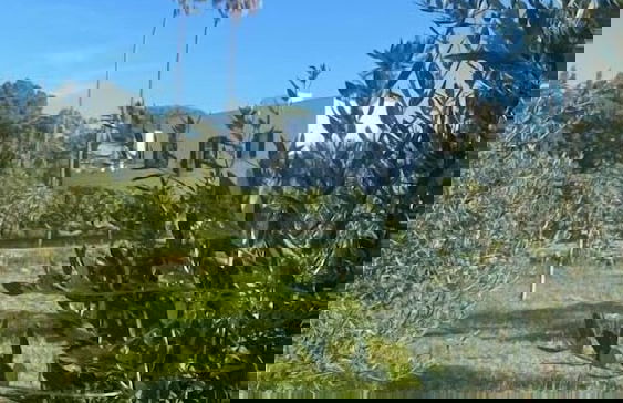 Filippo de Raho Agri Bio Relais - Photo 50