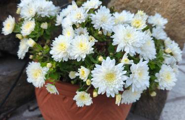 Sea view Goldins house - Foto 4