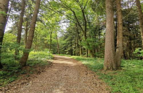 Apartment in Gutenbach With Nearby Forest - Foto 47