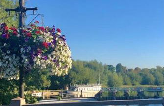 Linden Suite - Foto 19