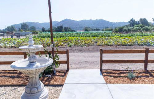 Luxury Farmhouse Near Coast & Wine - Foto 29