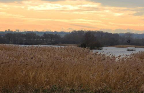 No 96 Chapel Lane - Self Contained Cottage In The Heart Of Butleigh - Photo 47