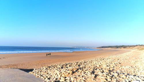 Entre mer et foret 1 - Photo 2