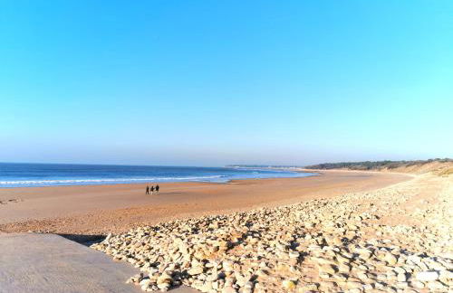 Entre mer et foret 1 - Photo 2