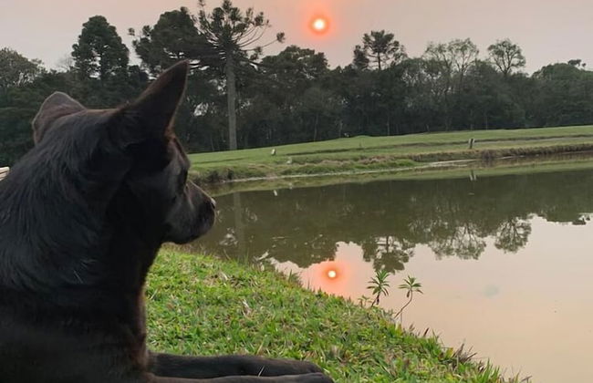 Boqueirão Hotel Fazenda - Photo 22