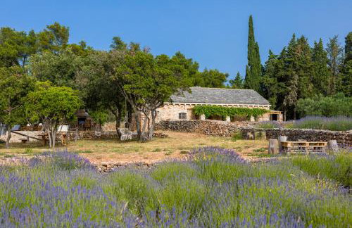 Villa Humac Hvar - Photo 36