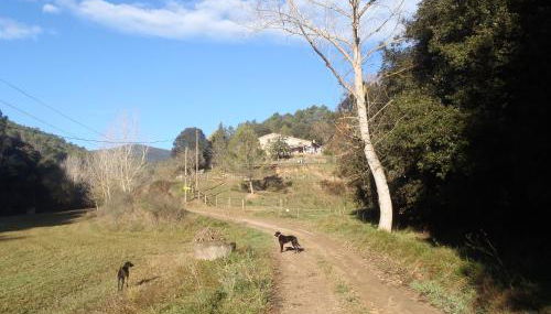 Can Parròquia - Foto 3