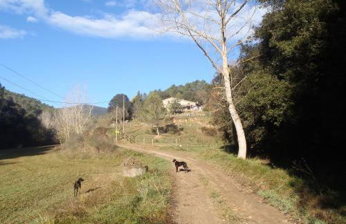 Can Parròquia - Foto 3