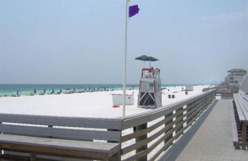 Destin Towers 1E - Foto 3