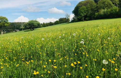 FEWO_ORTSZEIT - Foto 30