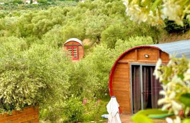 Botte Toscana in Oliveta - Idromassaggio Privato - Vista Mozzafiato - Foto 22