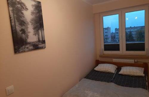 Family Suite Świecie - Foto 12