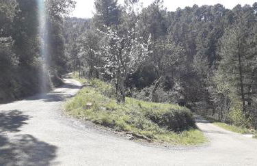 Le Mas Joyeux - Gîte L'Orchidée en Cévennes - Foto 16