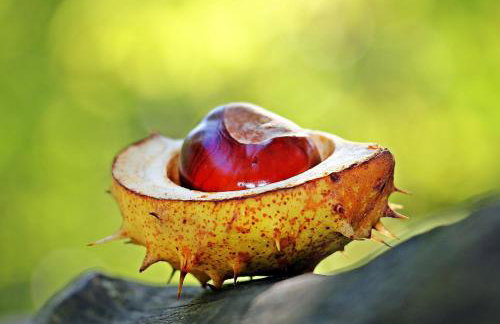 Studio apartman "DJED" - Foto 17