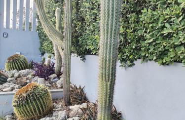 Appartamento L'Ulivo - Foto 34