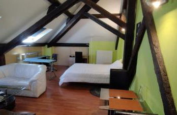 Grand Studio Climatisé en combles à 2 pas de la gare de NANCY - Foto 1