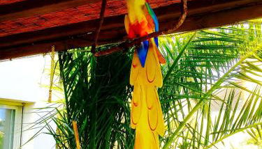 La Breizh'îlienne - Photo 3